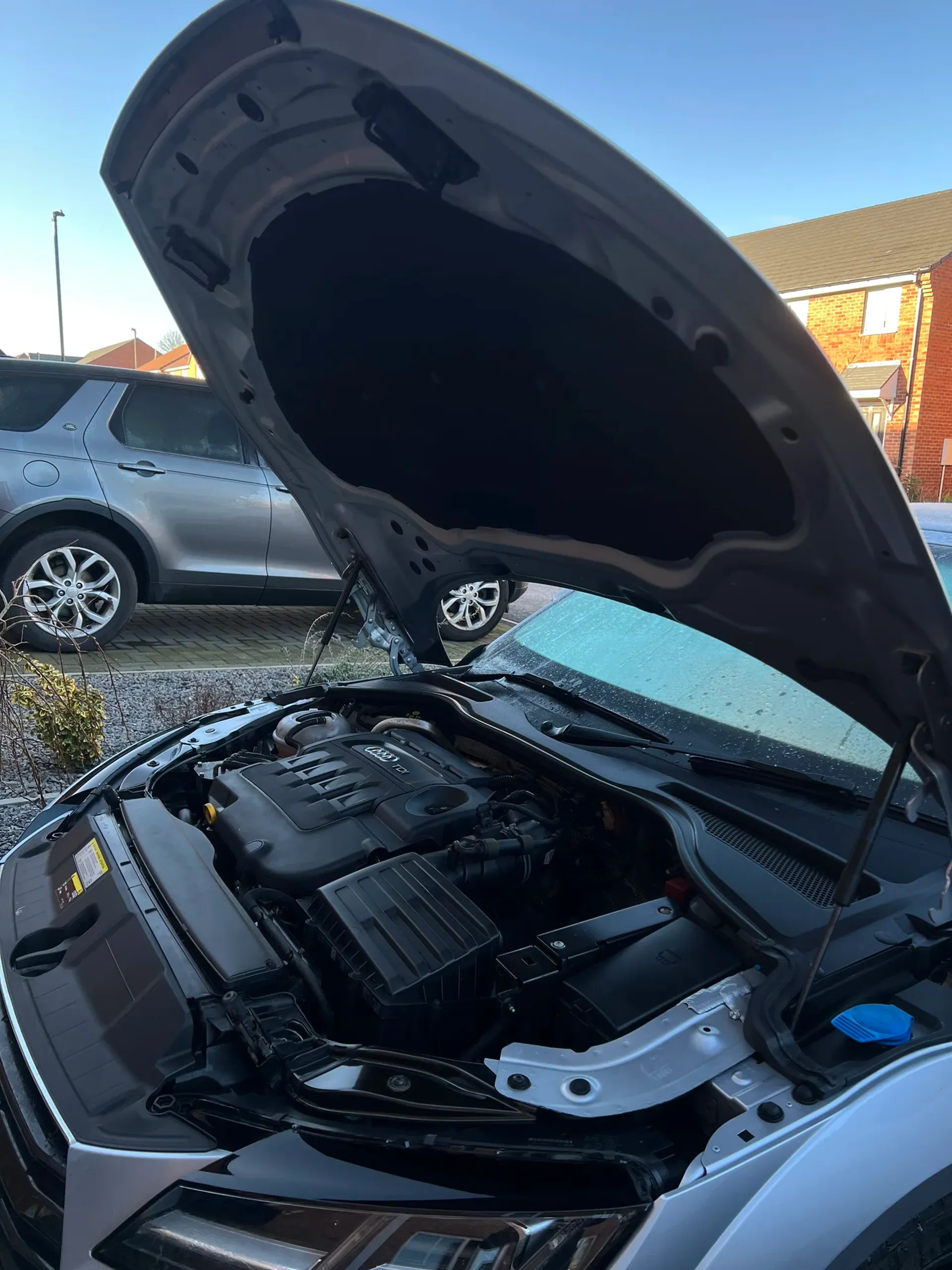 Engine bay cleaned after detail